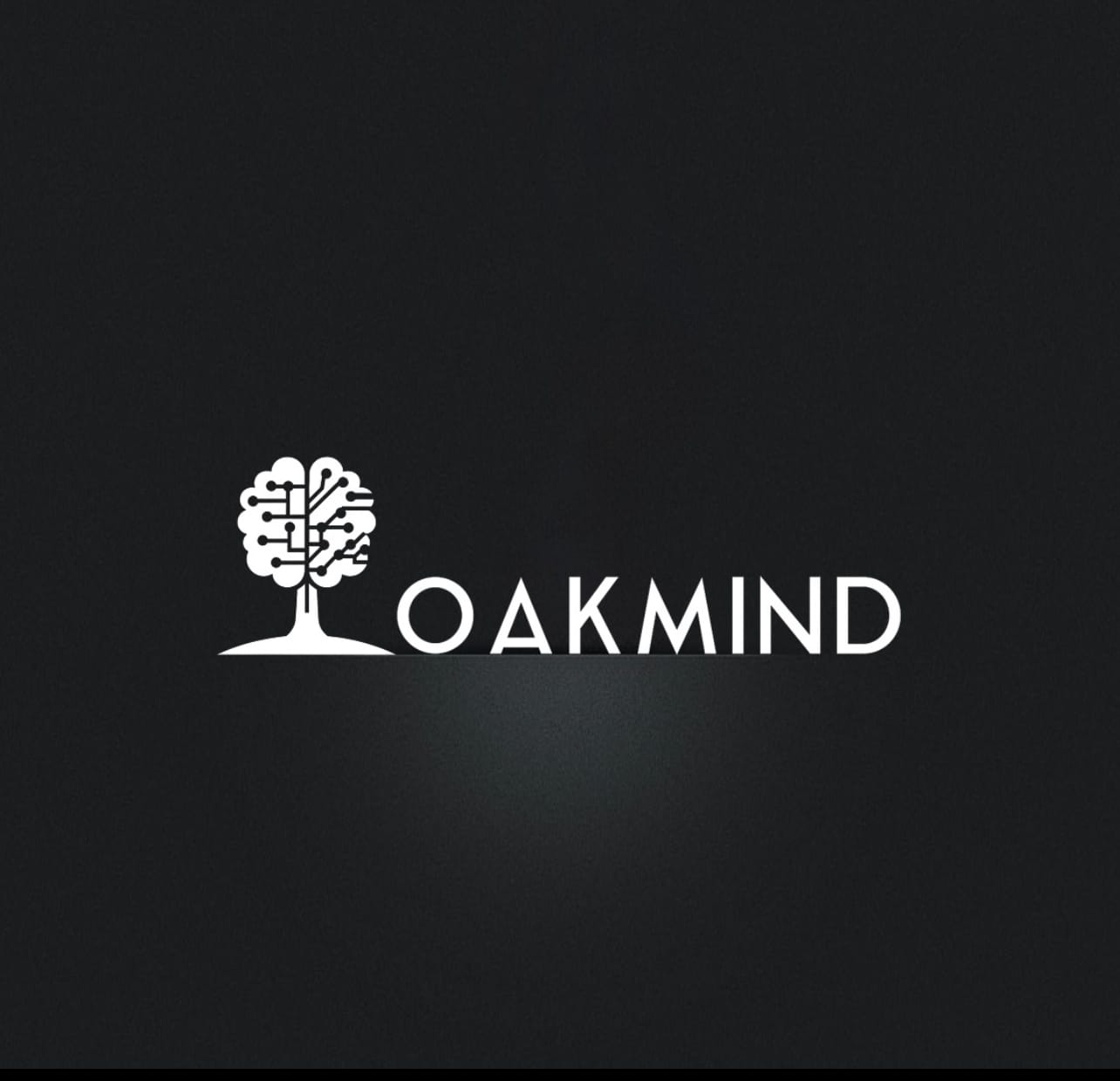 Im Gespräch mit der Schwäbischen Zeitung: OAKMIND‘s Entwicklung und Wirtschaftsausblick